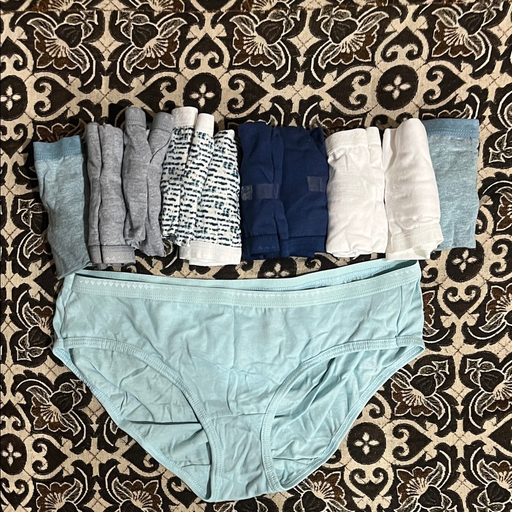 Hanes Women’s Cotton Briefs Pack of 11 (Size M) – Mixed Colors & Prints